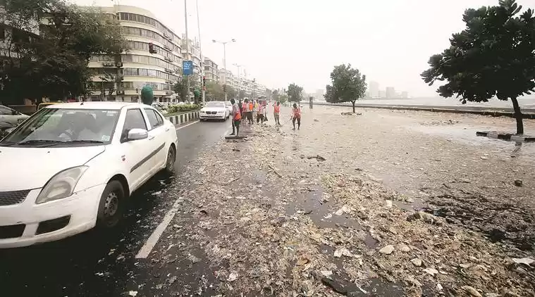 Photo of Mumbai's Trash Landi