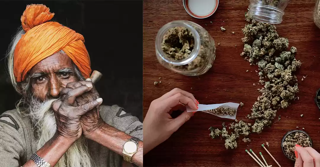 Photo of Marijuana Beyond Him