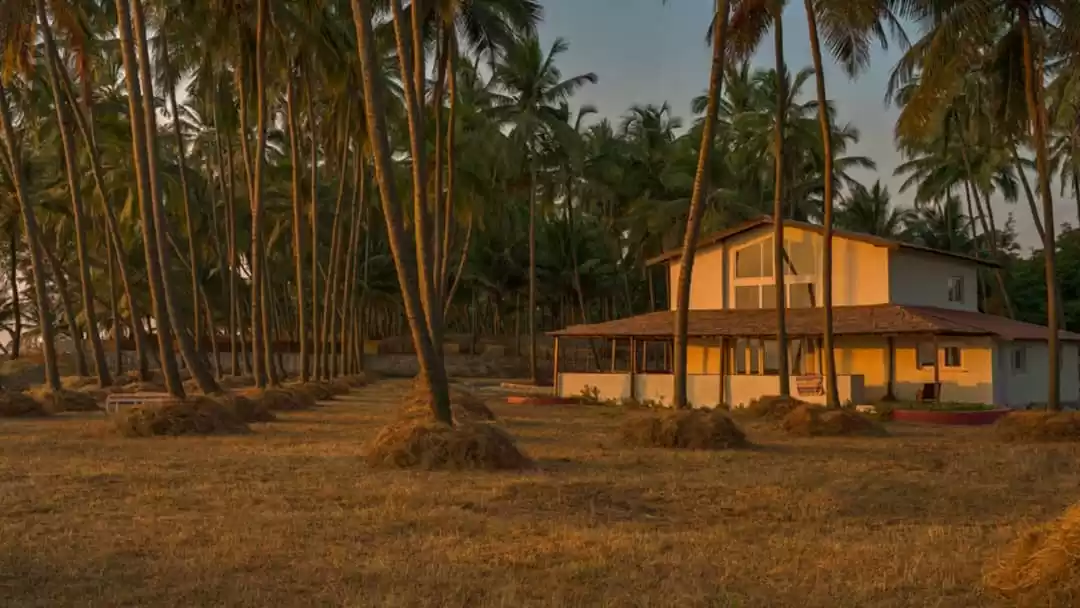 Photo of Get A Slice Of Goa A