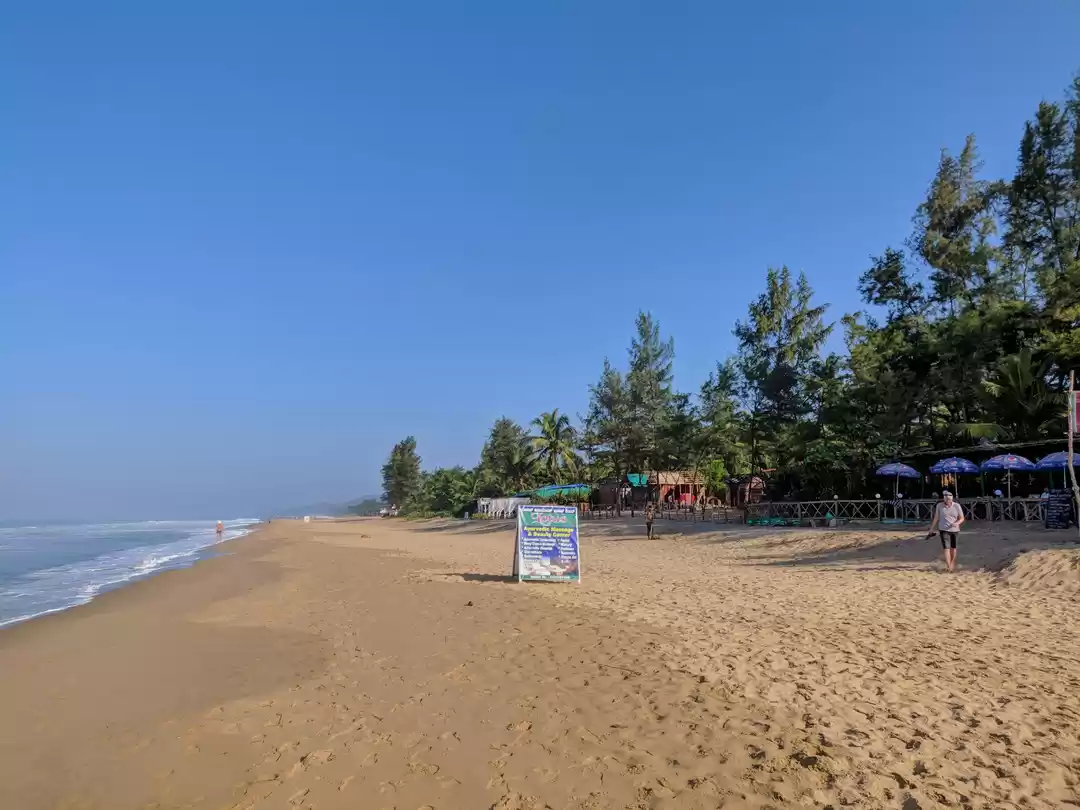 Photo of The Ultimate Guide T