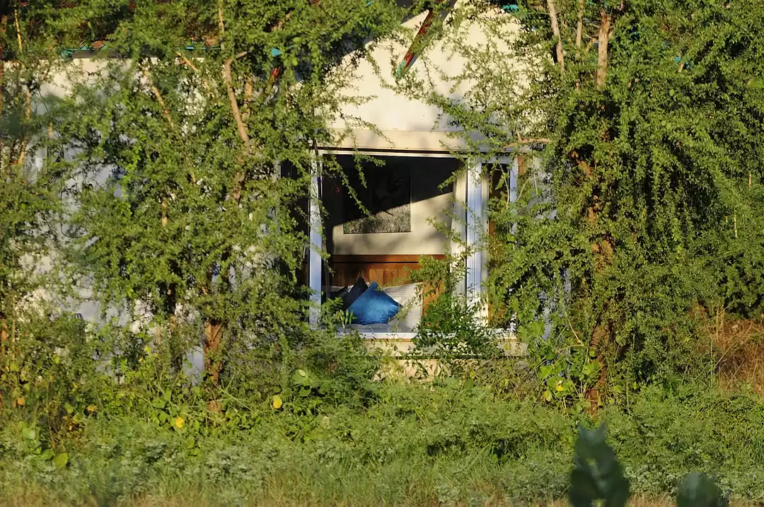 Photo of A Luxurious Take On 