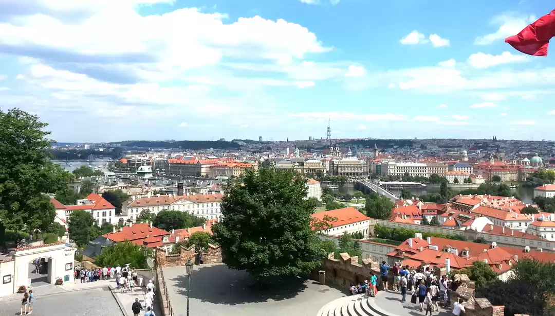 Photo of Picturesque Playful