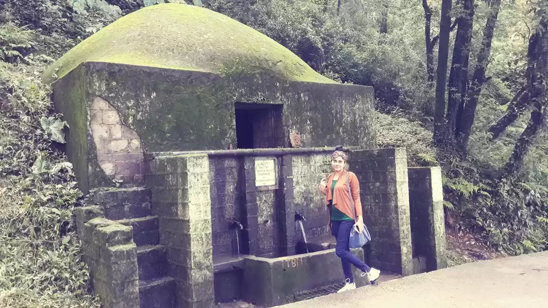 Photo of Poser’s Special – 5 