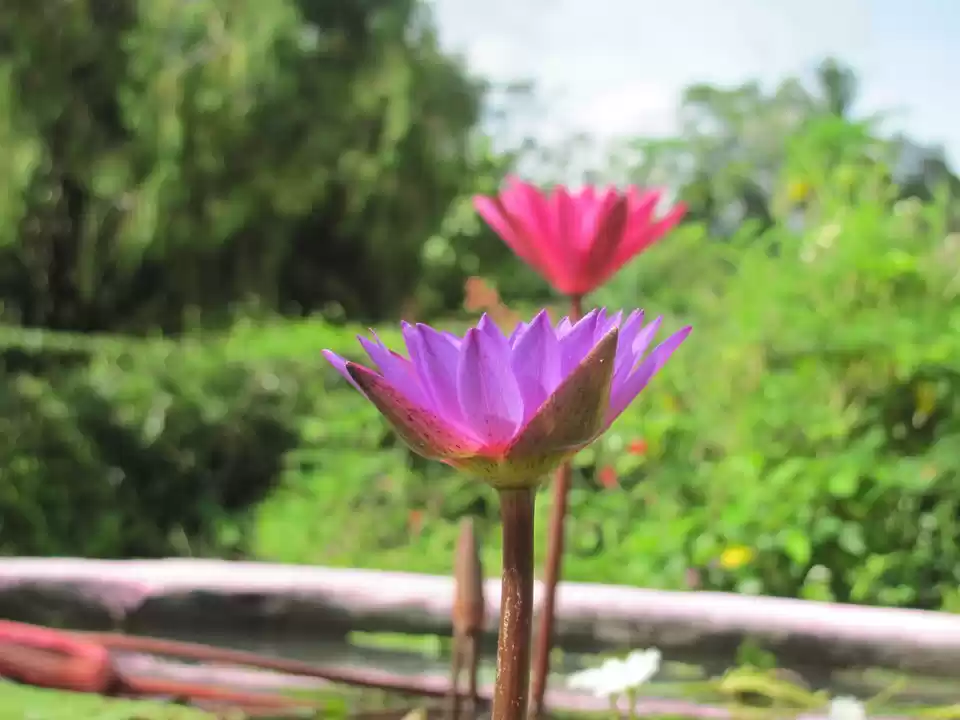 Photo of Spare one hour for t