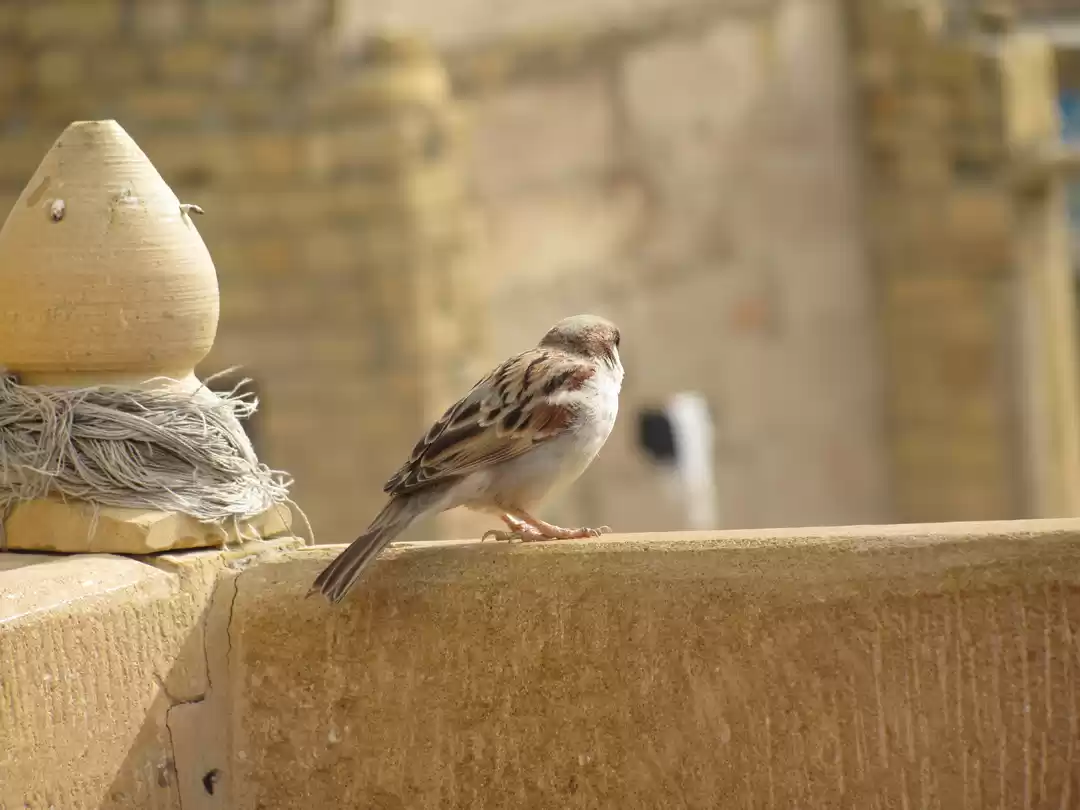 Photo of I promise these acti