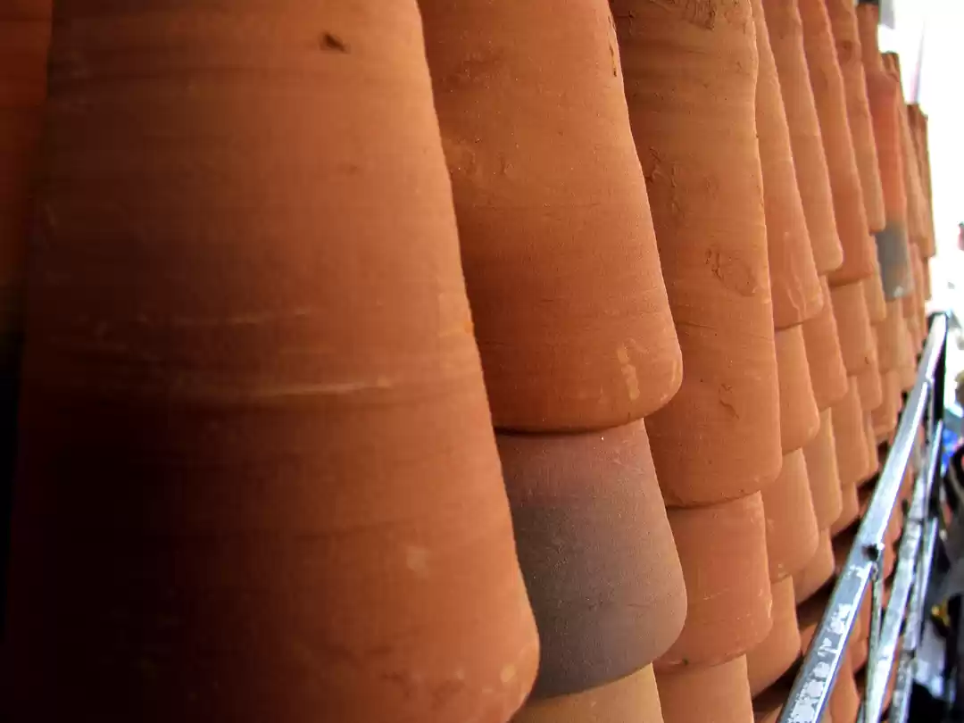 Photo of These should be the 