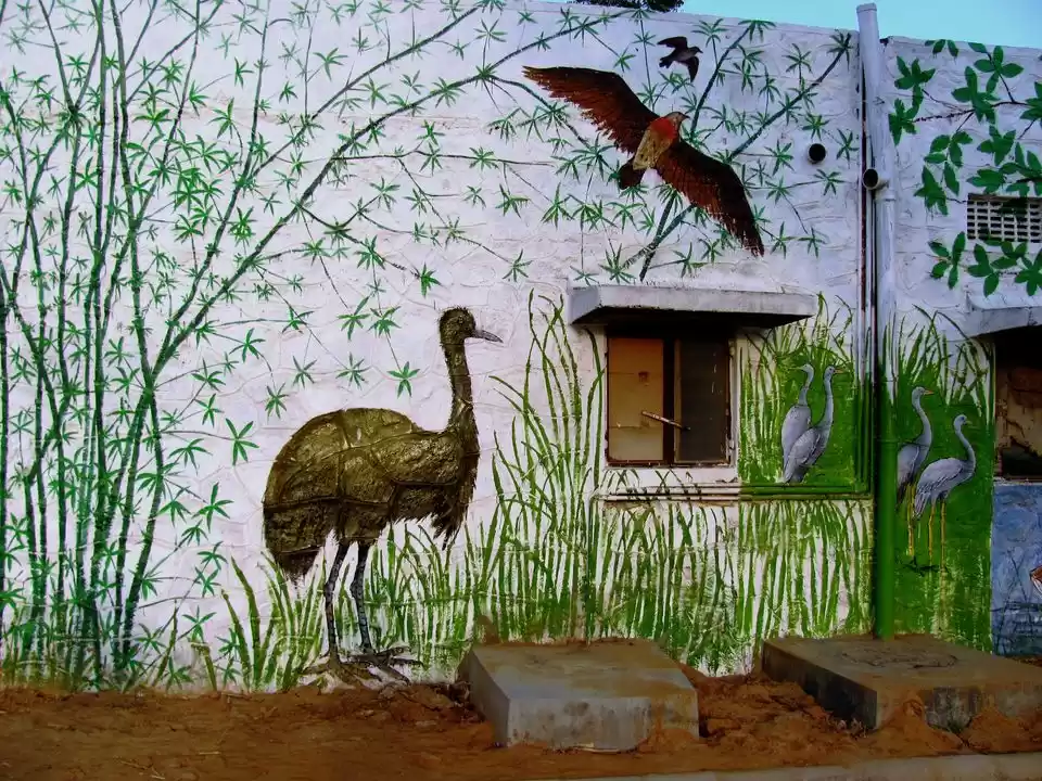 Photo of Offbeat, Overrated, 