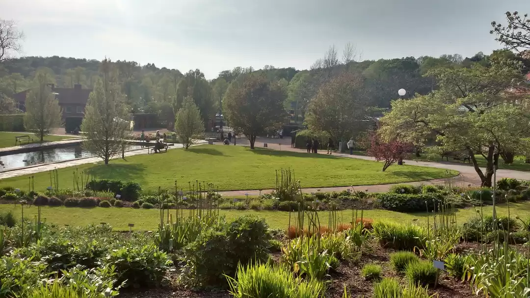 Photo of Göteborgs botaniska 