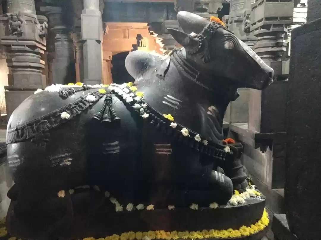 Photo of Divine experience in