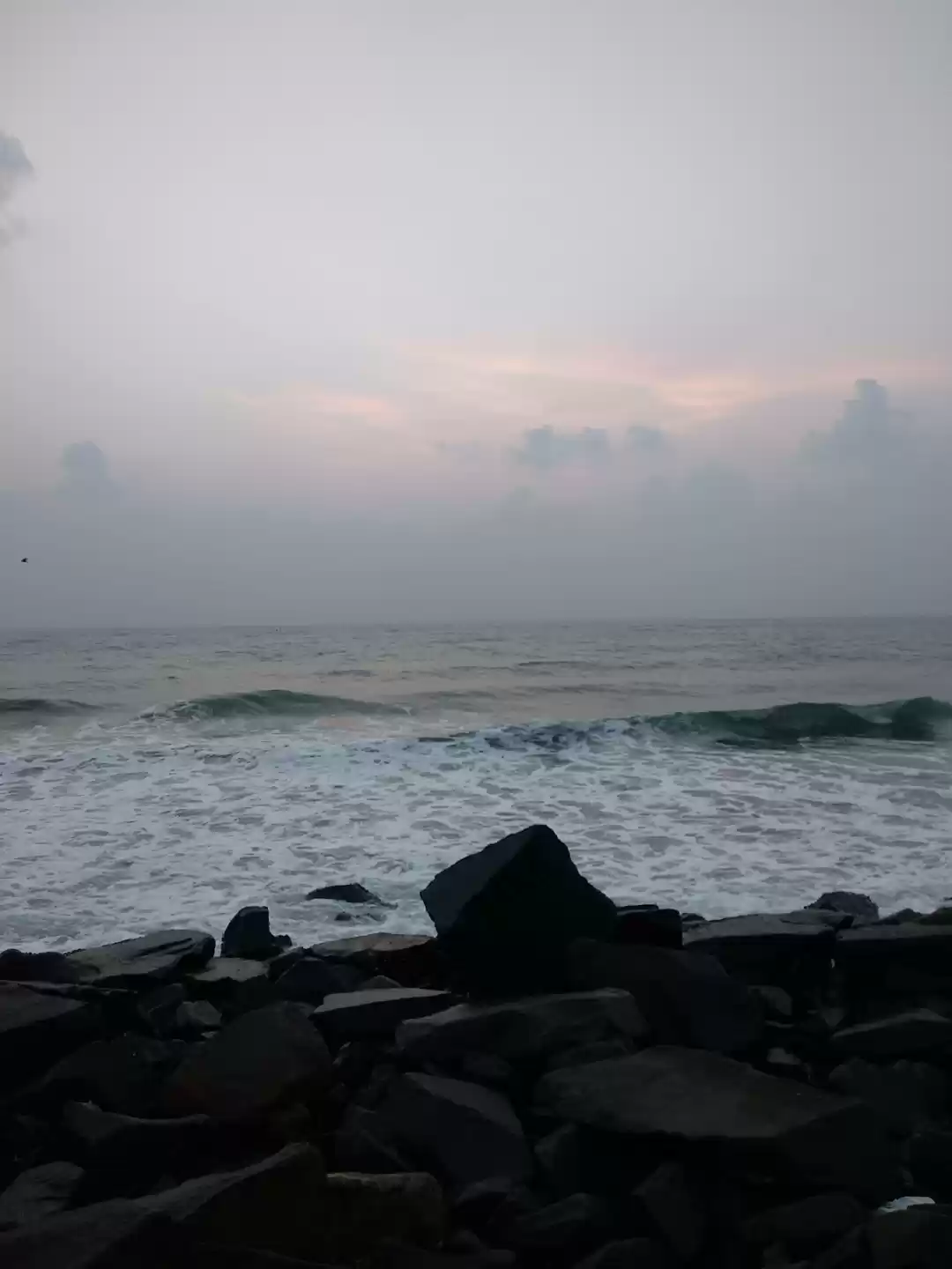 Photo of Tourist Trap - Pondi