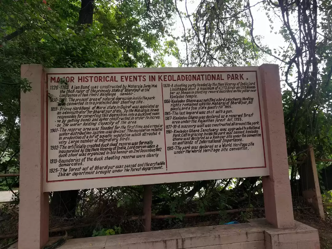 Photo of Keoladeo-A close gat