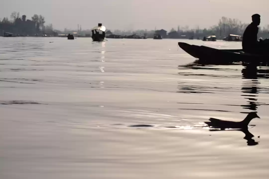 Photo of "Dal Lake" Kashmir :
