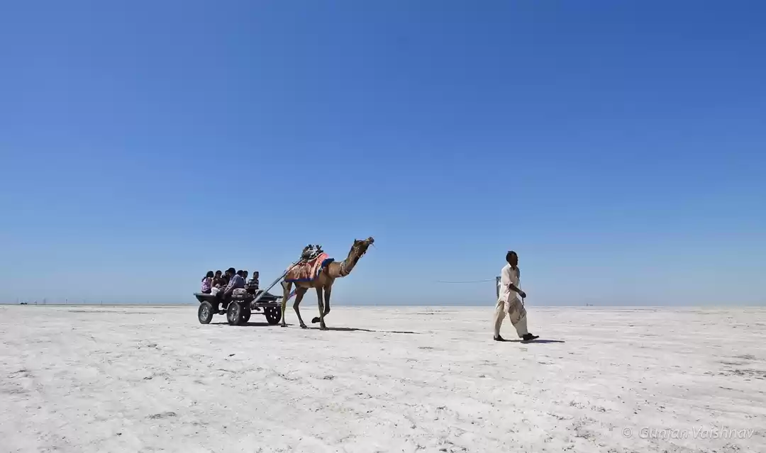 Photo of Gujarat - Rann of Ku