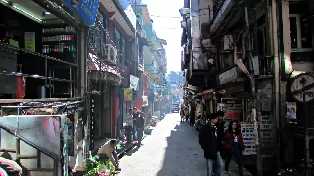 Photo of McLeod Ganj Cuisine 