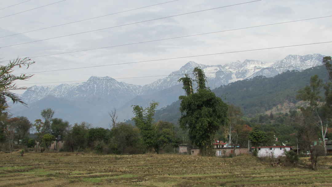 Kathmil: The unknown village in Kangra, Himachal Pradesh - Tripoto