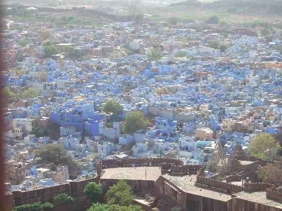 Photo of 3 Days in the Miraculous World of Blue City- Jodhpur