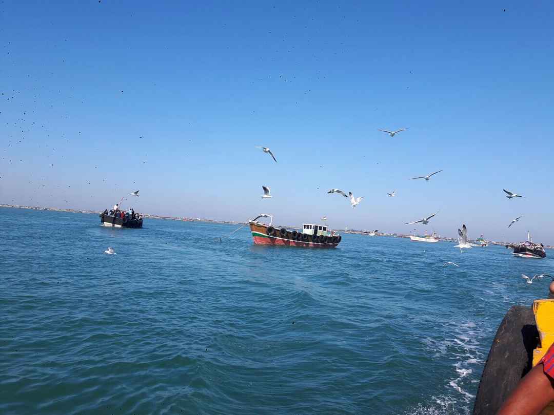 Photo of Gujarat Tour Part 2: Somnath to Dwarka (2 Days)