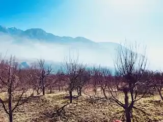 Photo of Adoring Himachal at