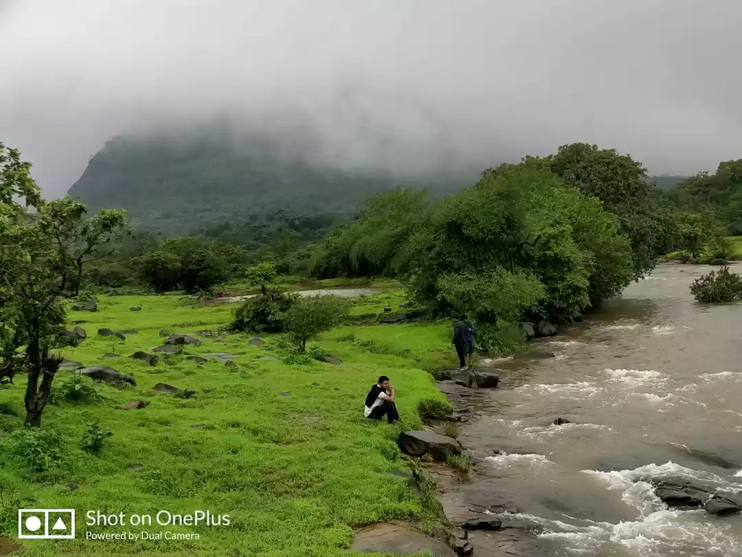 Photo of To heaven with some