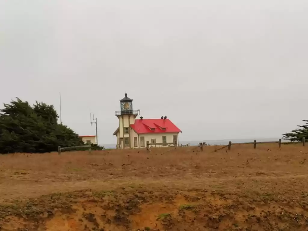 Photo of photo story of a Lig