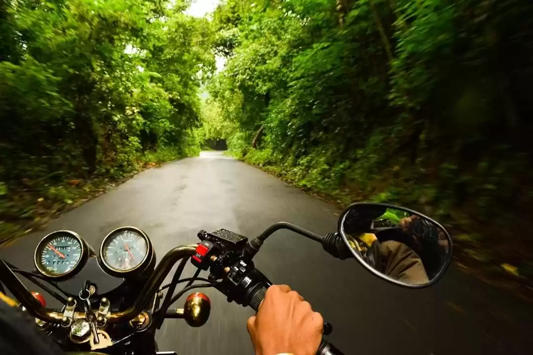 Photo of Green is the Only Go