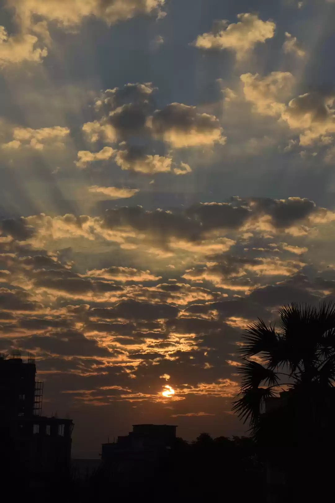 Photo of Sunrise in a city! #