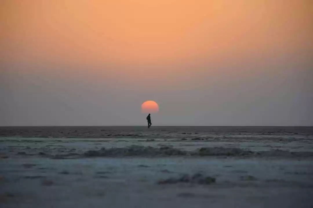 Photo of Quest for the golden