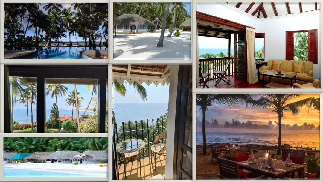 Photo of 9 Gorgeous Sea Facin