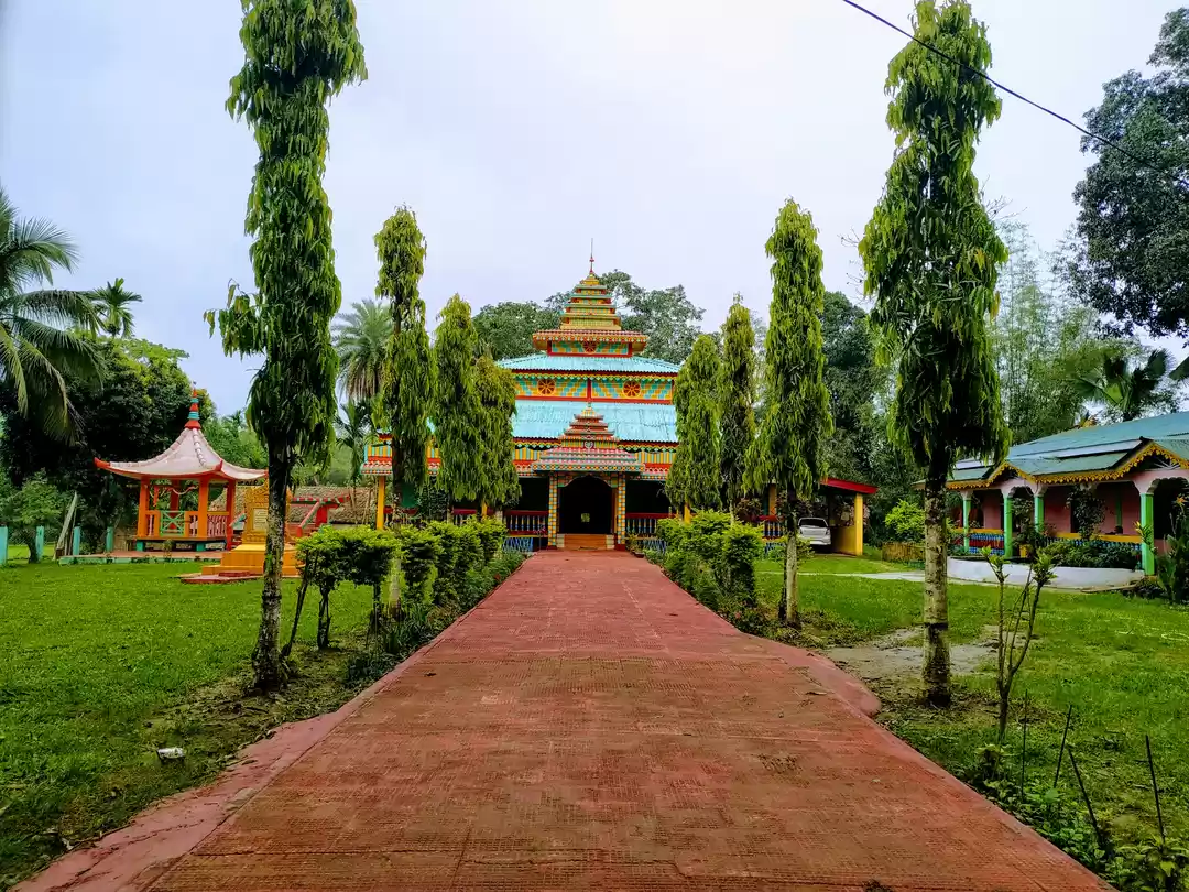 Photo of Margherita - A Quain