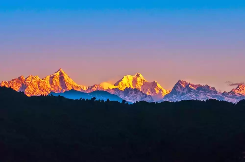 Photo of Mukteshwar : A vigne