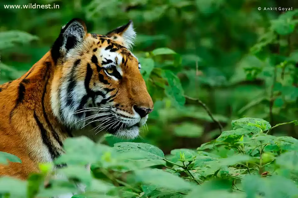 Photo of Photography Trip to