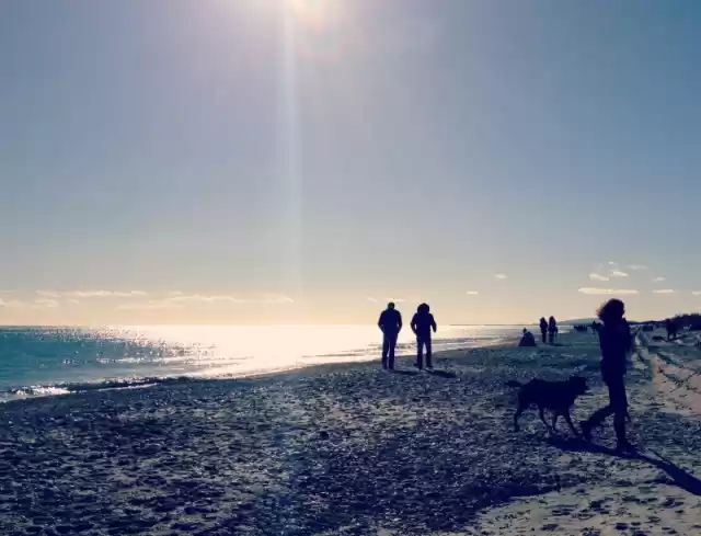 Photo of Montpellier, France