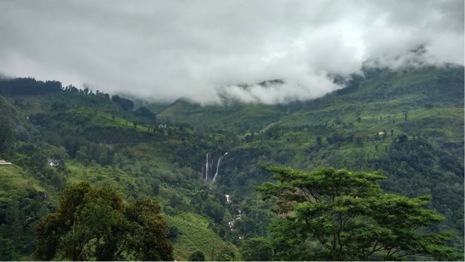 Photo of 5 International Hone