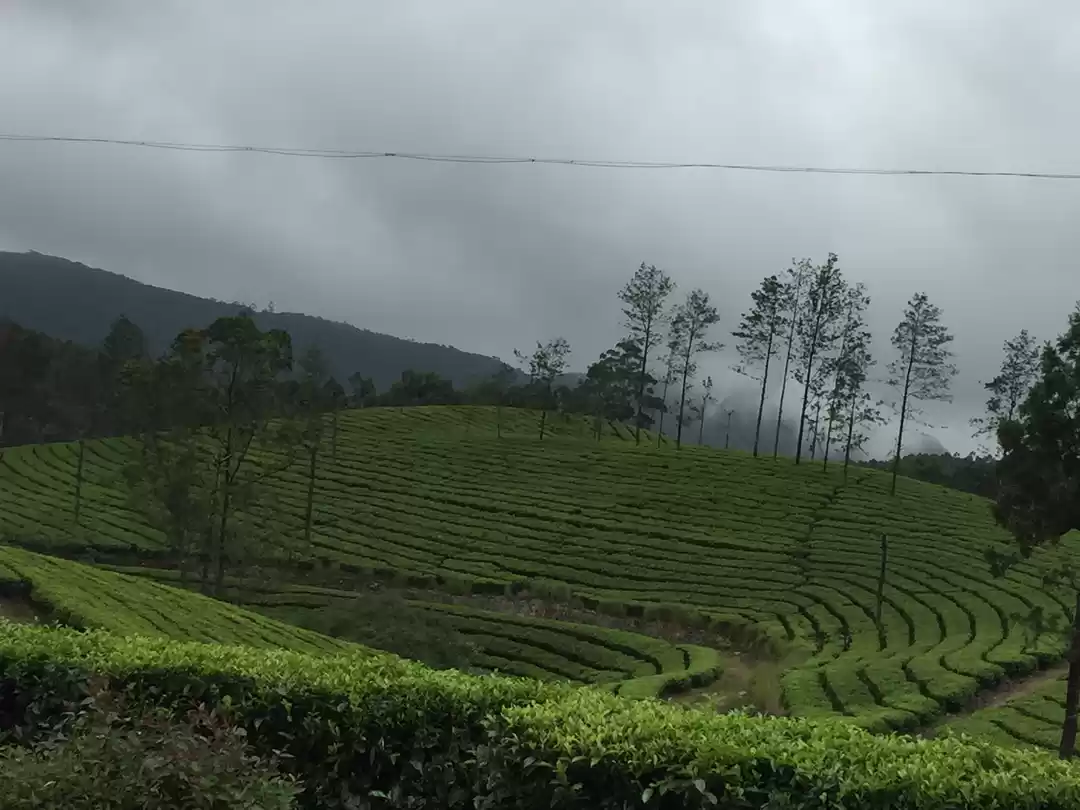 Photo of A Road trip to the l