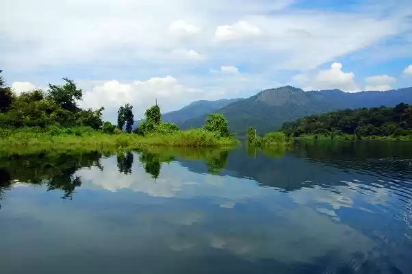 Photo of Chimmony Jungle Camp