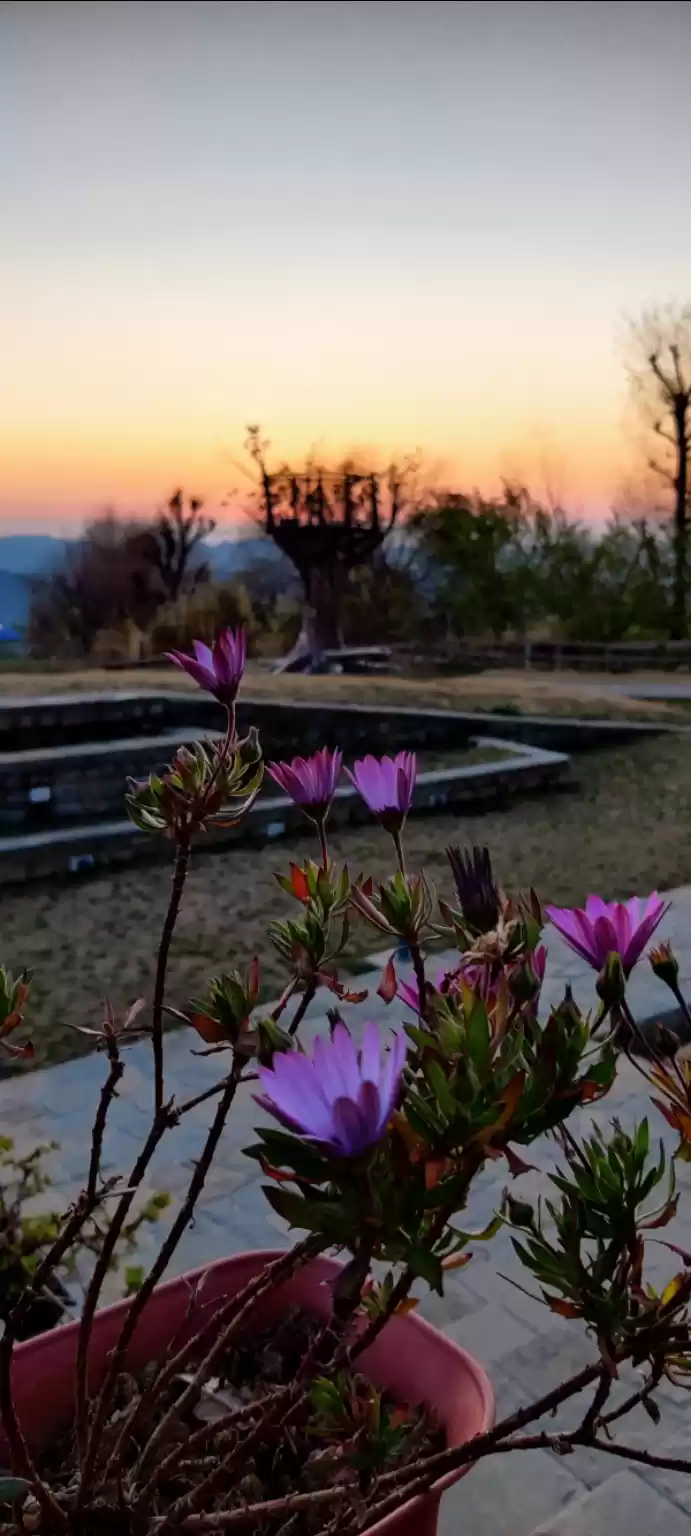 Photo of Zostel bir 2.0