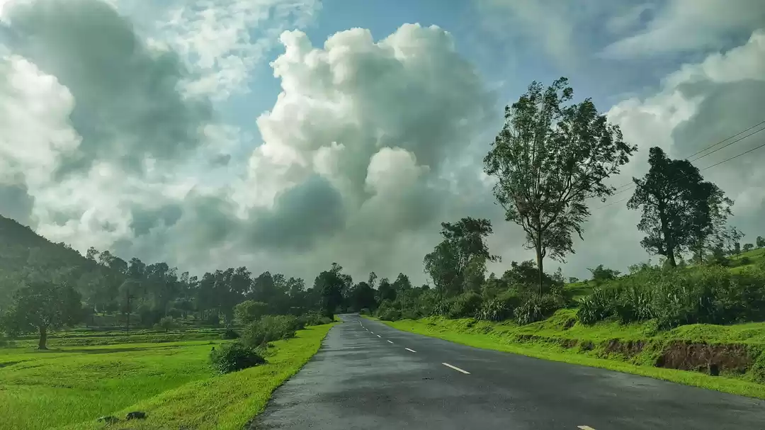 Photo of A green heaven... A 