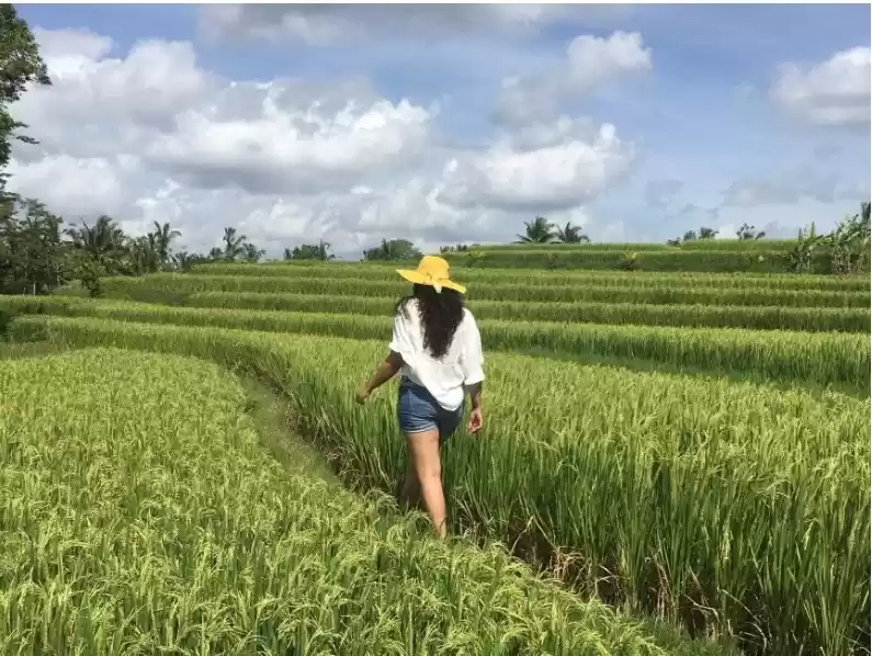 Photo of Two Weeks in Bali - 