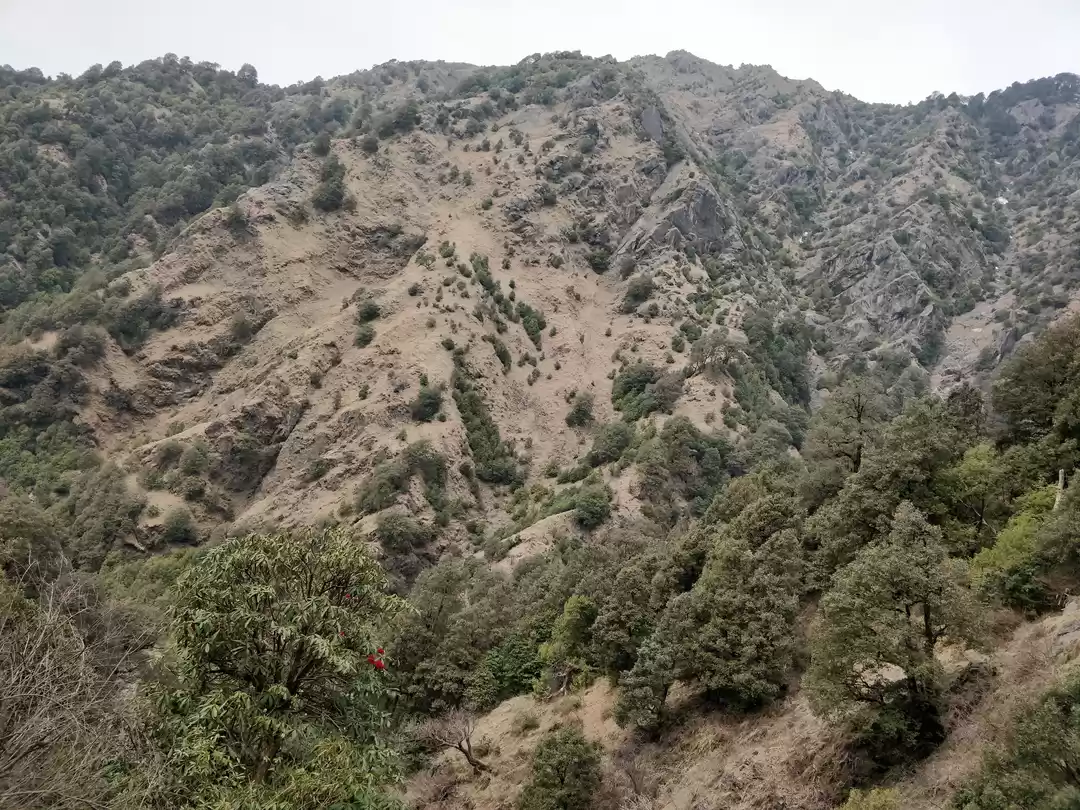 Photo of Scenic Himachal