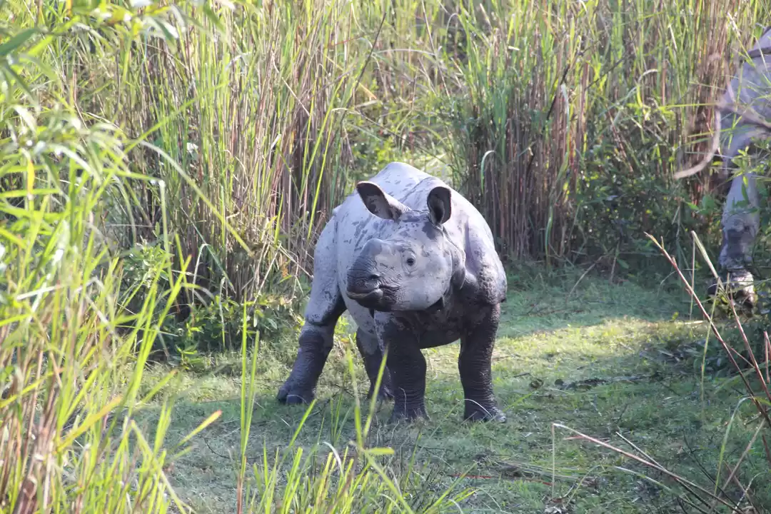 Photo of Road Trip Across Nor