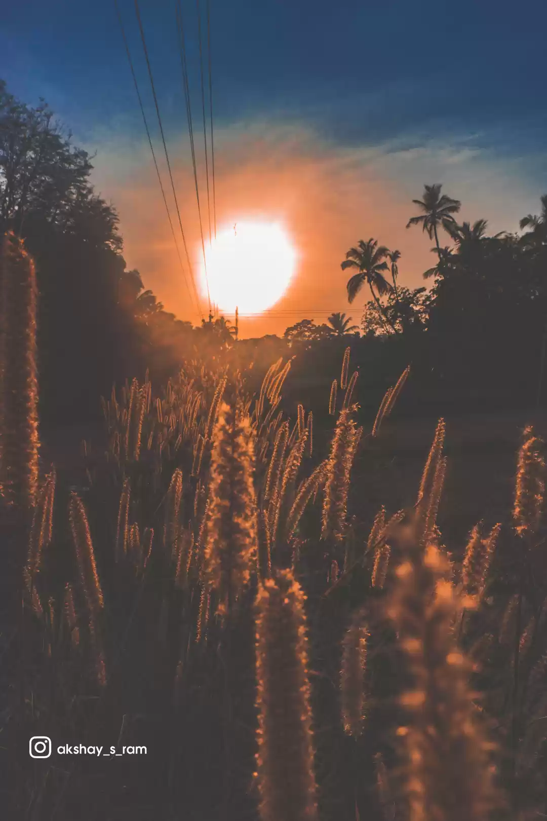 Photo of The Sun beautifing t