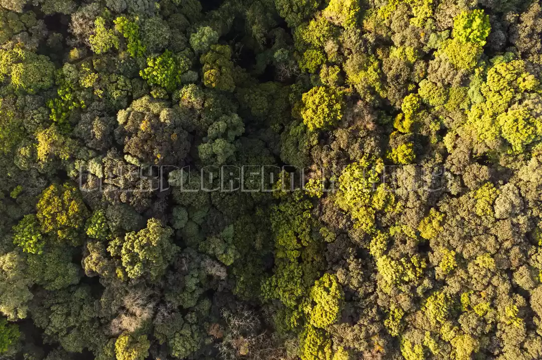 Photo of MAWPHALANG SACRED GR