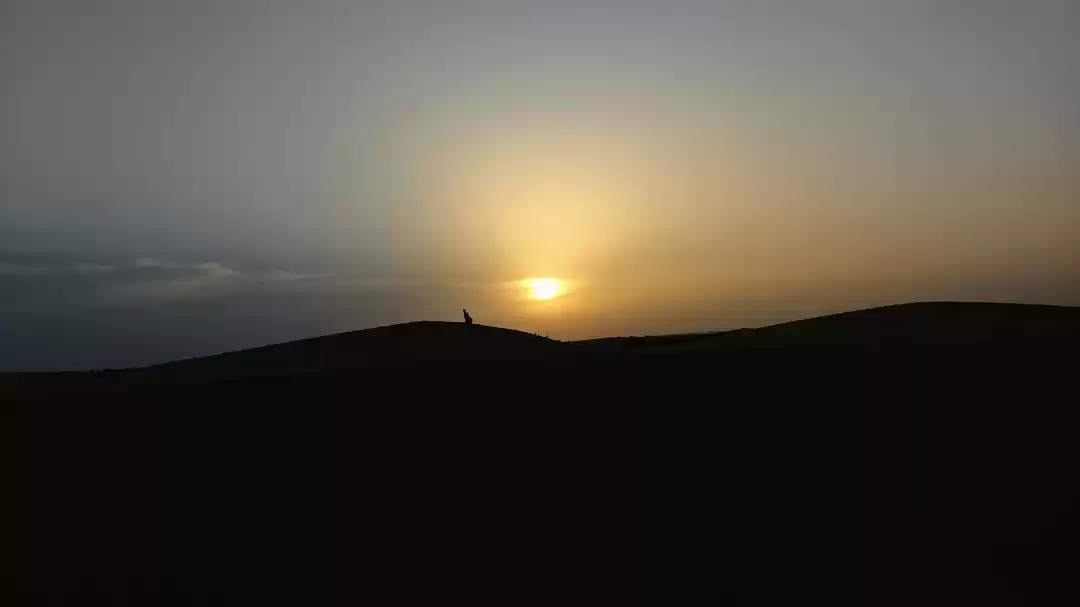 Photo of Jaisalmer:Home of th