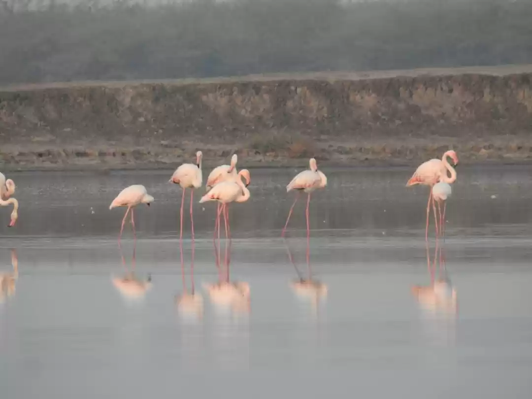 Photo of Kutch Nai Dekha toh