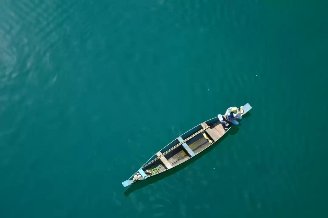 Photo of The Magnificent Nort