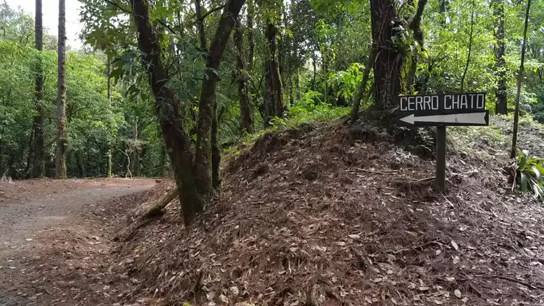 Photo of Cerro Chato Trail -