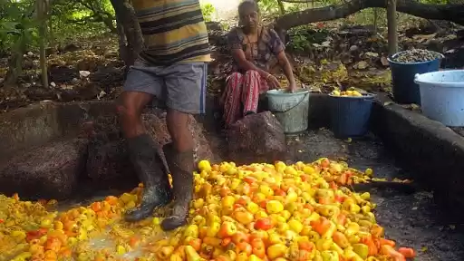 Photo of An Urrakful Workatio