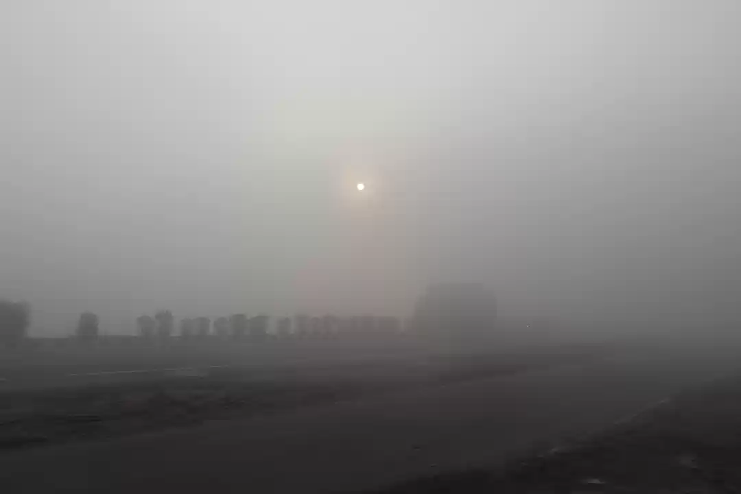 Photo of Chilling at Chail, H