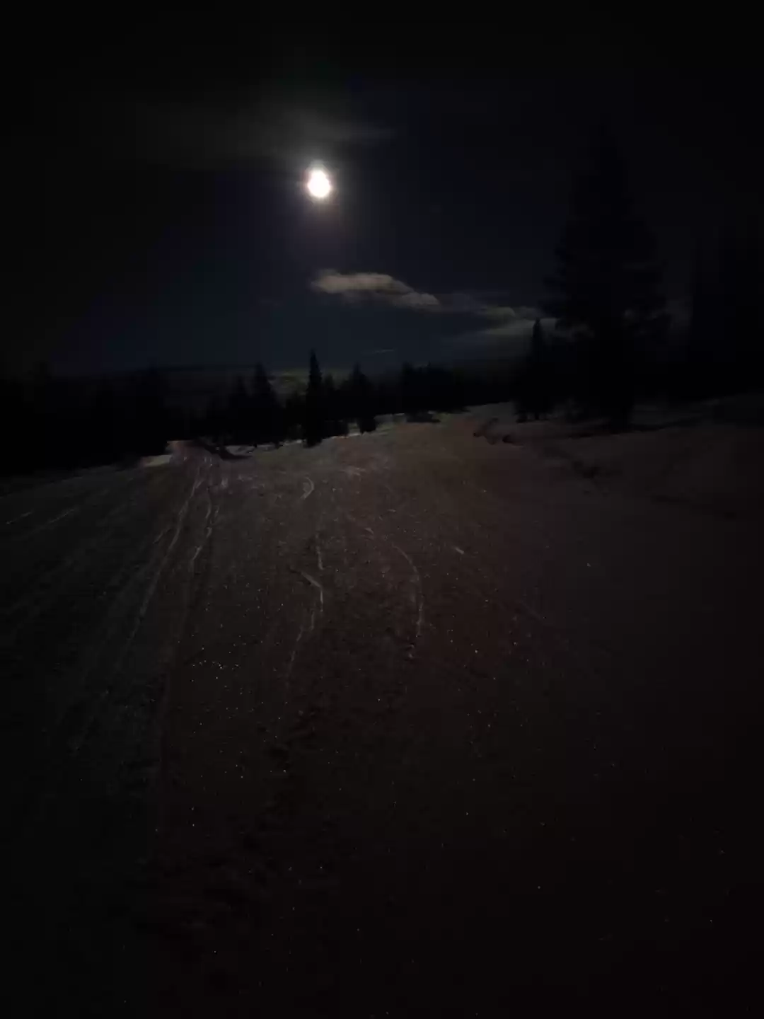 Photo of Snowshoe hike in Lap