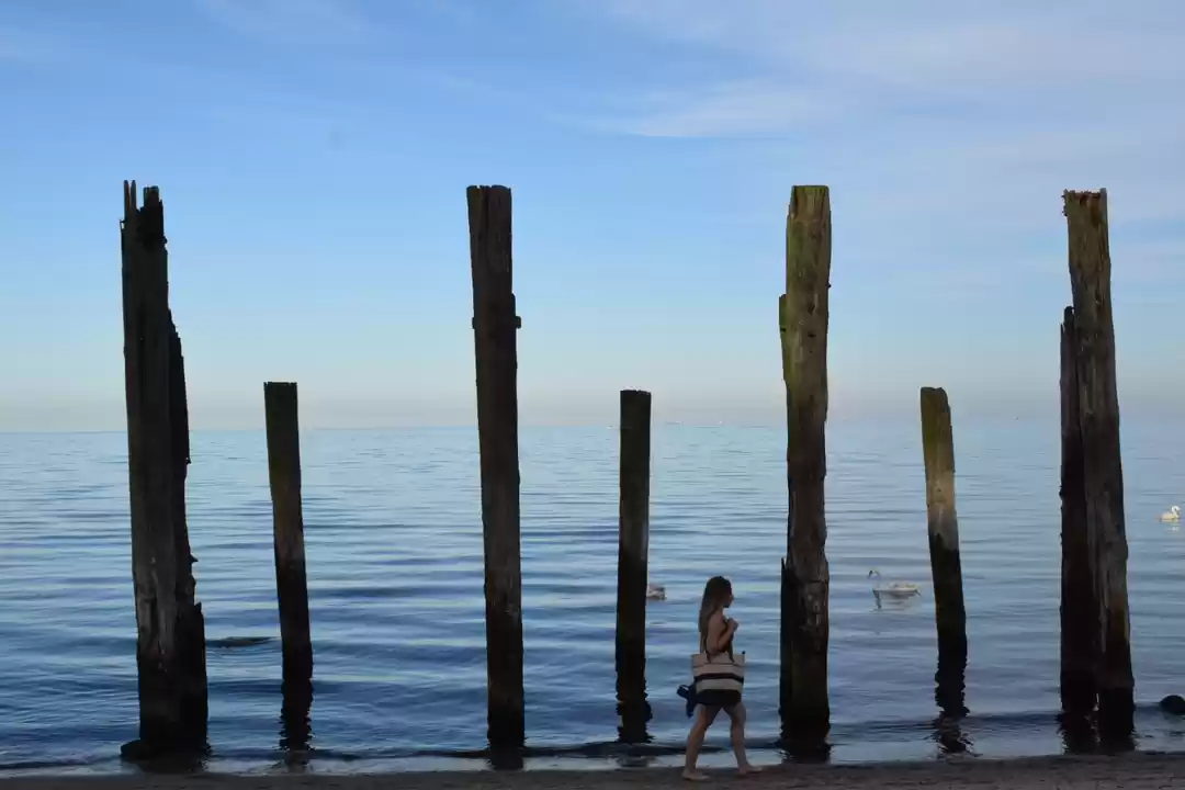 Photo of Tripping Tri Cities 